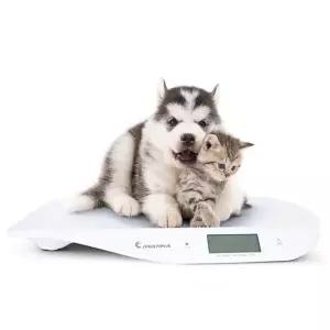 [셀러허브]아이워너 유아 체중계 디지털 반려동물 강아지 고양이 (S50757932)