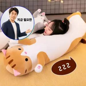 지금 필요한 바디필로우 모찌 대형 고양이 50cm 쿠션 찰떡 수면