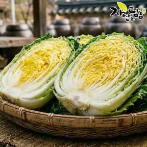(도착일선택) 26년 HACCP 해남절임배추 20kg(6~10포기)/ 김장 겉절이