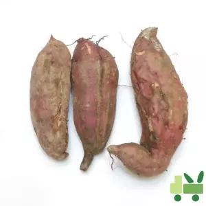 호박고구마 10Kg (파지)