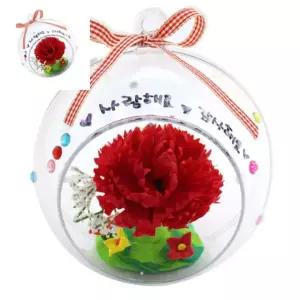 카네이션 10인포장 투명볼 가정의달만들기 카네이션만들기 가정의달행사 어버이날카네이션