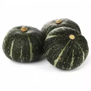 단호박 산 햇 10kg