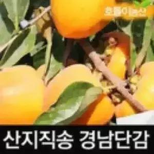 경남 햇단감 흠과 가정용 과수랜덤 혼합과 5kg
