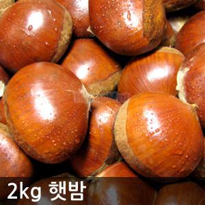 2026 햇밤(대) 2kg/3kg 깐밤가능 공주부여 알밤 /하양마트