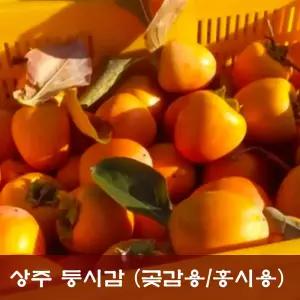 [ 시즌한정 판매 ] 곶감용감 10kg 막 담아 드려요. (감크기 중소과 혼합발송) 생감/땡감/떫은감