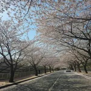 [경남] 김해 가야테마파크 카라반 좋은캠핑(경남, 김해)