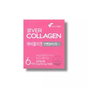 에버콜라겐 인앤업 비오틴 업 750mg 84정 1박스_WB