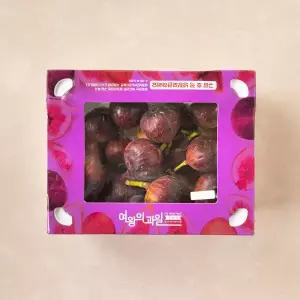 GAP 영암무화과 16~22입 (1.2kg)