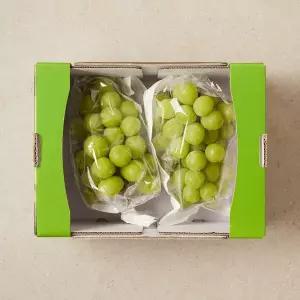 고당도 샤인머스켓 1.5kg 박스