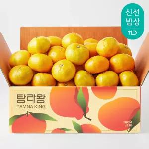 [탐라왕]제주 노지 감귤 4.5kg 소과/로얄과/중대과