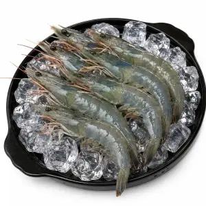 [태림씨푸드]국산 활새우 제철 신안 흰다리새우 생새우 급냉 회 500g 1kg (원산지:신안군)