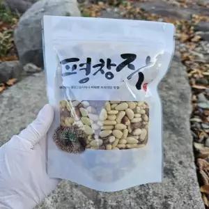 26년 햇 특등급 평창 잣 200gX2팩(황잣1,백잣1)