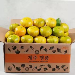 [식식한상] 농가직송 극조생 노지감귤 4.5kg 중대과(L-2L)