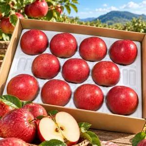 [30박스한정] 프리미엄 감홍사과 5kg 특품 A급 대과 박스포함 (실중량 4.5KG) 10-14과