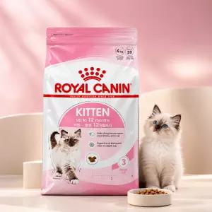 로얄캐닌 캣 키튼 4kg