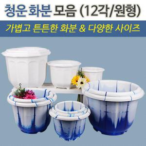 청운 화분 모음 (12각/원형)/플라스틱