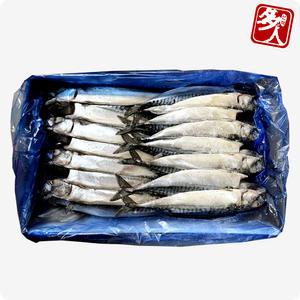 다인 노르웨이 자반고등어 8손(16미) (1손당 750g이상) 특대사이즈 전문점용 한식 고등어구이 고갈비