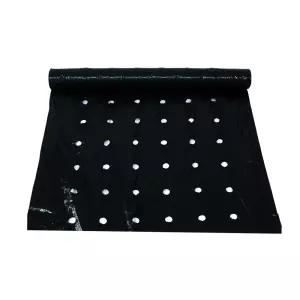 멀칭비닐 유공 흑색 B10-3 0.02mm x 100cm x 200m(6구) 마늘 양파 잡초