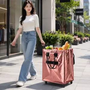 4바퀴 쇼핑카트 60L 접이식 시장 마트 짐 캐리어 장바구니 구루마