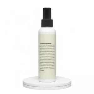 [뿌리 볼륨.쉐입 고정] 차홍 픽스 볼륨 헤어 스프레이 150ml/250ml