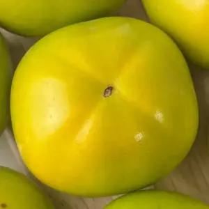 서치61 단감 태추단감 대과 3kg 제철 일상