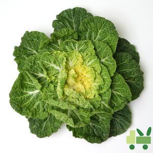 봄동 배추 10Kg