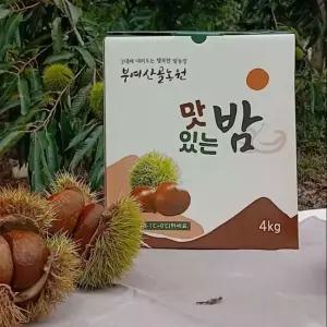산골농원 알밤 대2kg (칼집없음) 공주 부여 알밤 햇밤 생율 깐밤 밤 군밤용밤 칼집군밤 생율