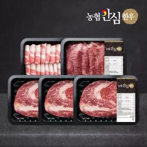 [농협안심한우](신세계 사우스시티)[신세계백화점] 산지직송 1등급 한우 프리미엄 세트 1kg (꽃등심/꽃...