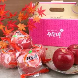 [산들네] 껍질째 먹는 경북 세척사과 3kg 16-17과내