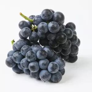 산정마을 씨없는 포도 프리미엄 고당도 거봉 캠벨 충랑포도 2kg