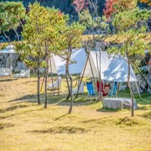 [경기] 가평(구름산카페카라반)(경기, 가평)