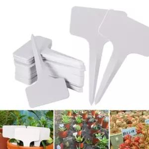 100P 10x6cm 식물 이름표 화분 라벨 마커 T자 타입 태그 e-WD935DC