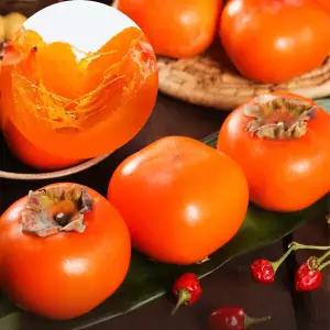 청도반시 10kg 중과 연시감 반홍시 홍시감 씨없는 연시홍시 제철 햇청도반시 10키로 26년 80과 내외