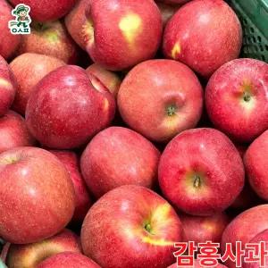 [이솔팜] 울퉁불퉁 감홍사과 가정용 3kg 5kg 10kg 한입 진한 달콤함 경북 햇사과