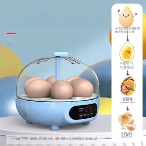 부화기 종란 유정란 계사 자동부화기 달걀 계란 수동 백봉오골계알 병아리 부화용