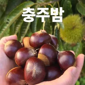 26년 햇밤 충주밤 알밤 이평밤 생밤 대 2kg