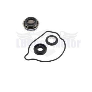 워터 펌프 기계식 도장 세트  혼다 호환 CB500X 2013- CMX500 CL500  19226-MGZ-J00 개스킷 O링