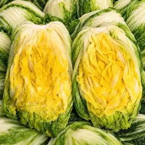 [예약발송] HACCP 인증 강원도 절임배추 20kg 7-12포기 김장용 고을