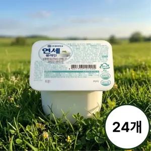 연세 요거트 플레인 80g, 24개