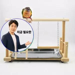 지금 필요한 놀이터 횟대 장난감 스탠드형 새장 앵무새
