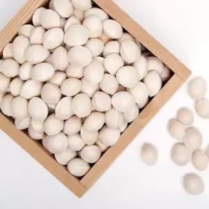 보은 양지촌농원 26년산 피은행 1kg (대) 햇은행