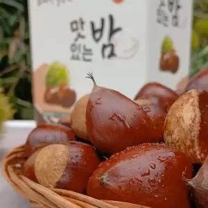 산골농원 특대 2kg (칼집없음)공주 부여 알밤 햇밤 생율 깐밤 ,밤 군밤용밤 칼집군밤 생율