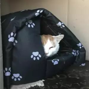 길고양이집 길냥이집 길고양이 길양이 겨울집 숨숨집 방수 보온 하우스