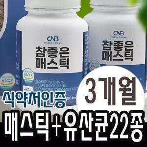 매스틱검 매스틱유산균 MASTIC 추출성분 90정x2병