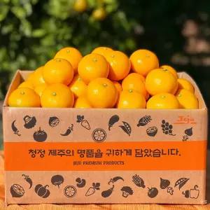 제주 타이벡 감귤 효돈 2.5kg/4.5kg/9kg