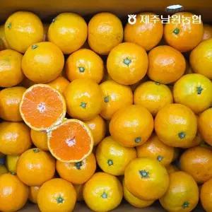 제주남원농협 제주 노지감귤 소과 4.5kg (실중량)
