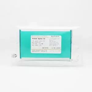 아가로스겔 Premade Agarose Gel 1.5% TAE - SafeShine