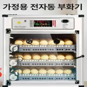계란 부화기 미니 키우기 인큐베이터 농장 병아리 고급형 계란부화기 자동부화기 육추기