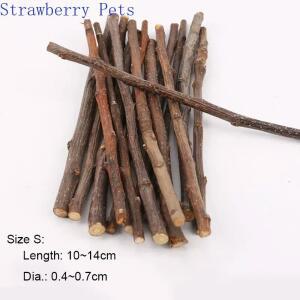 5pcs 10pcs 40pcs 씹는 스틱 사과 나무 가지 햄스터 다람쥐 자연 장난감 앵무새 토끼 그라인딩 스틱