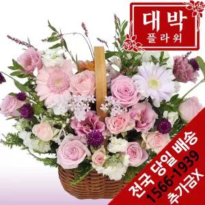 꽃받아 꽃바구니 생일선물 기념일 출산꽃 병문안 전국꽃배달서비스
